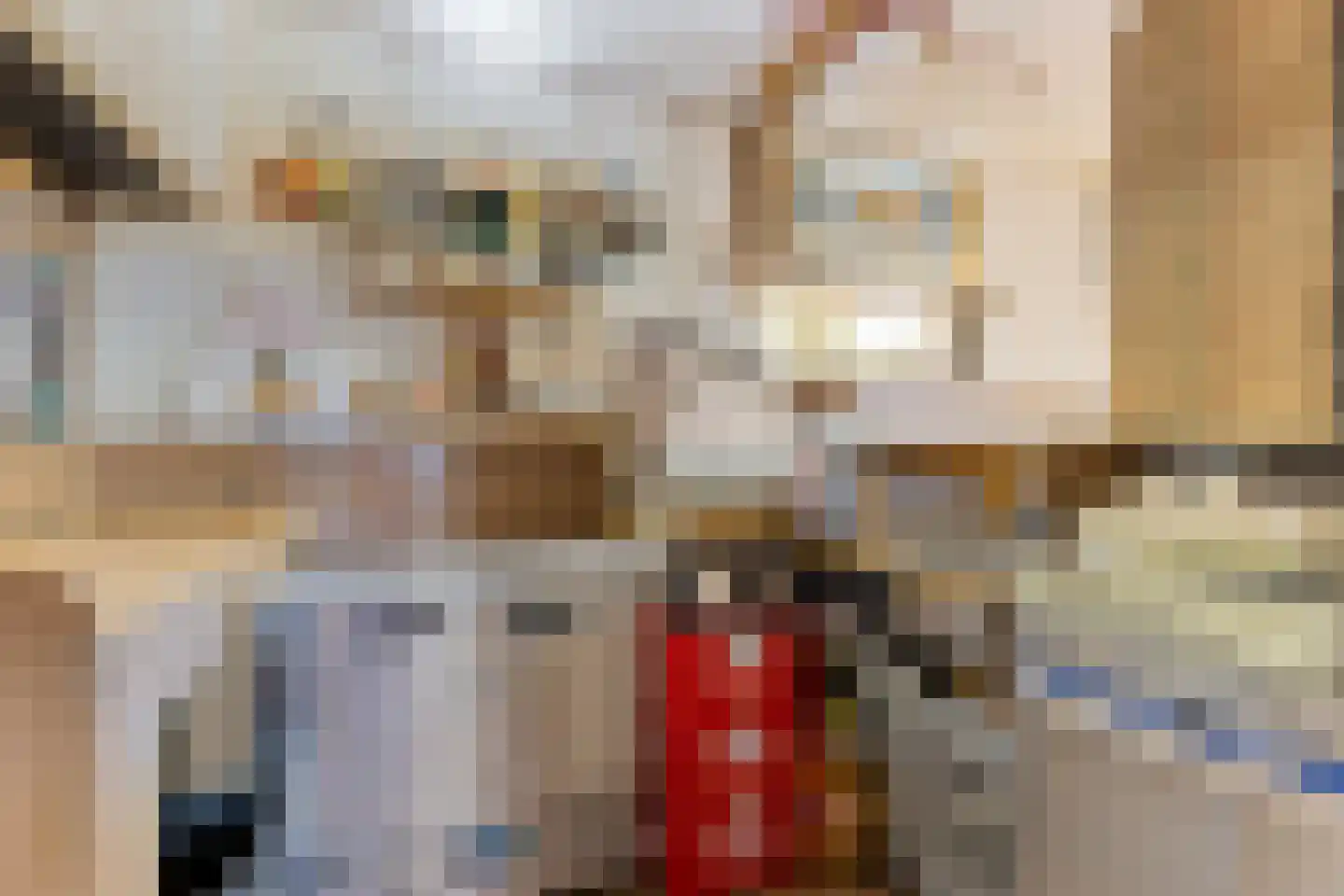 Noorderbolwerk 6 Dokkum thumbnail 15