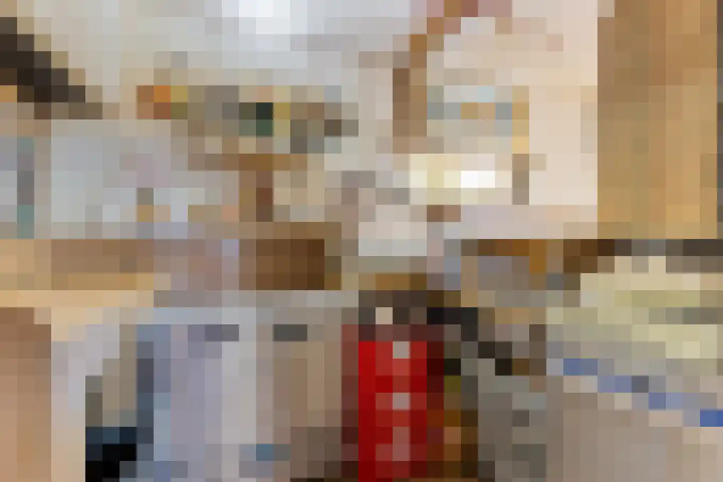Noorderbolwerk 6 Dokkum thumbnail 15
