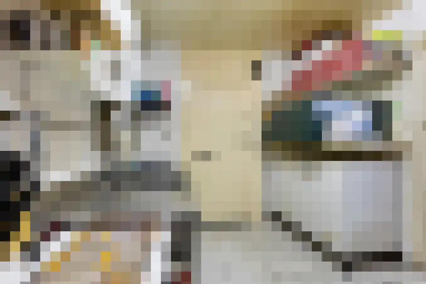 Noorderbolwerk 6 Dokkum thumbnail 17