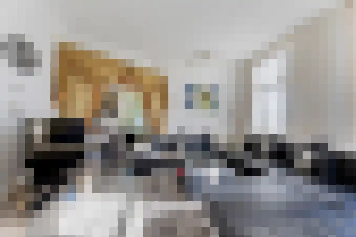 Noorderbolwerk 6 Dokkum thumbnail 25