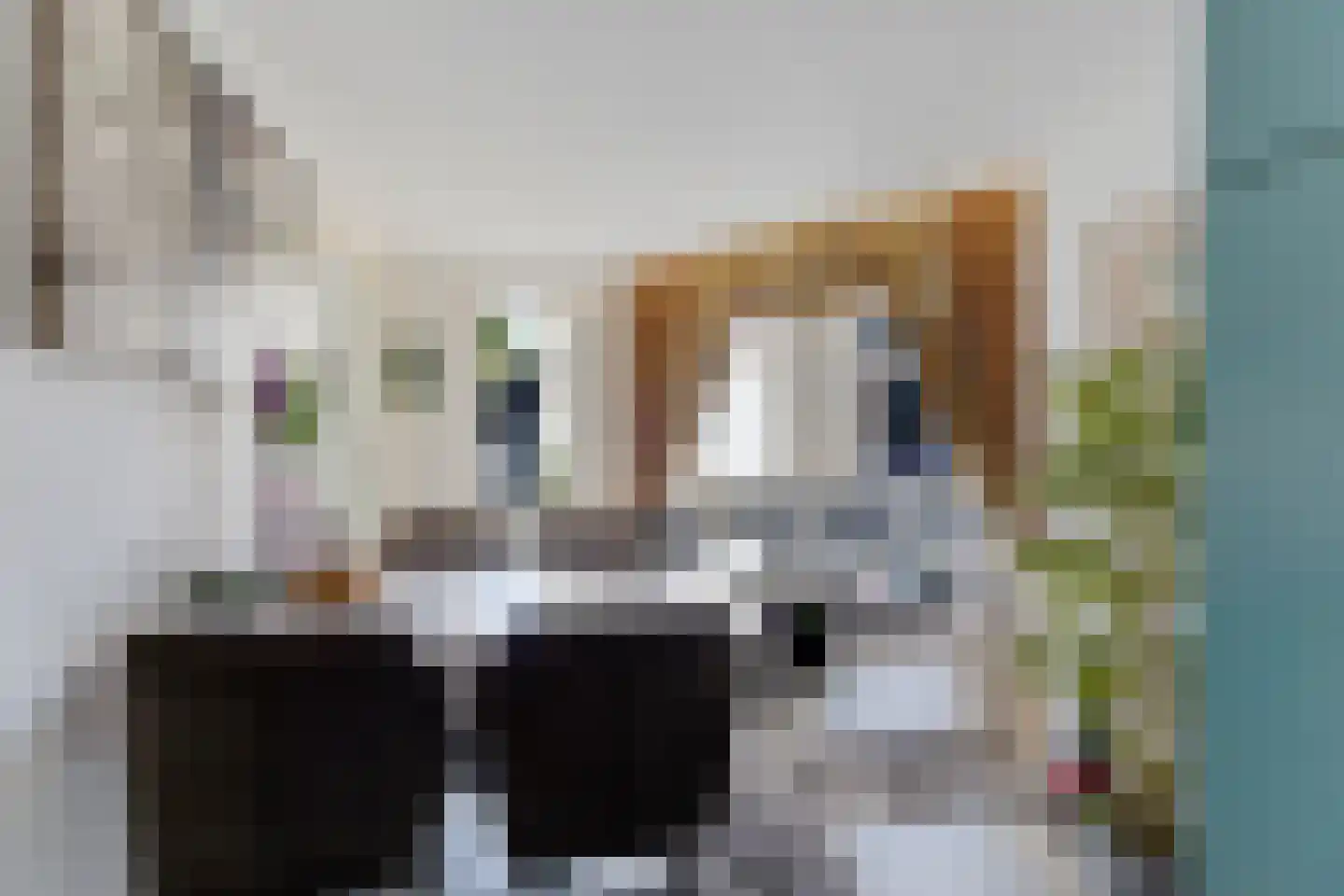 Noorderbolwerk 6 Dokkum thumbnail 26