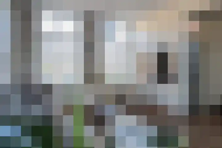 Noorderbolwerk 8 Franeker thumbnail 13