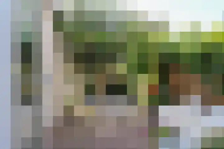 Noorderbolwerk 8 Franeker thumbnail 20