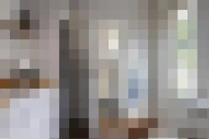 Noorderbolwerk 8 Franeker thumbnail 30
