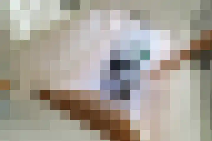 Noorderbolwerk 8 Franeker thumbnail 33