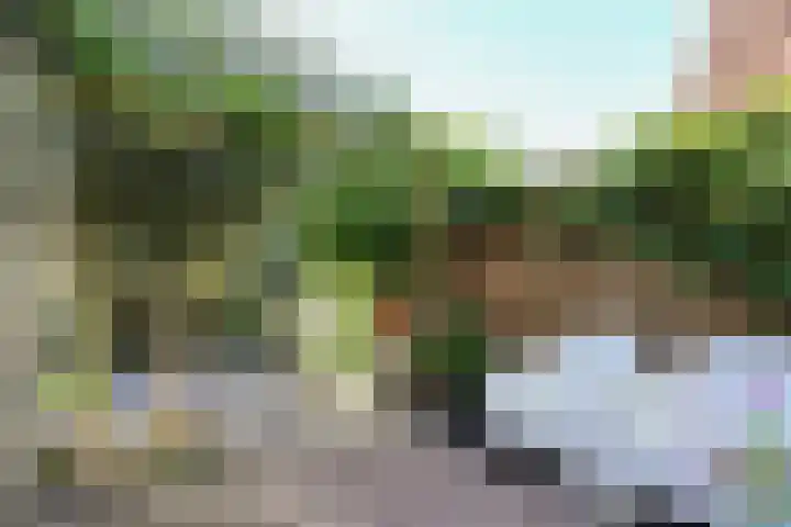 Noorderbolwerk 8 Franeker thumbnail 47