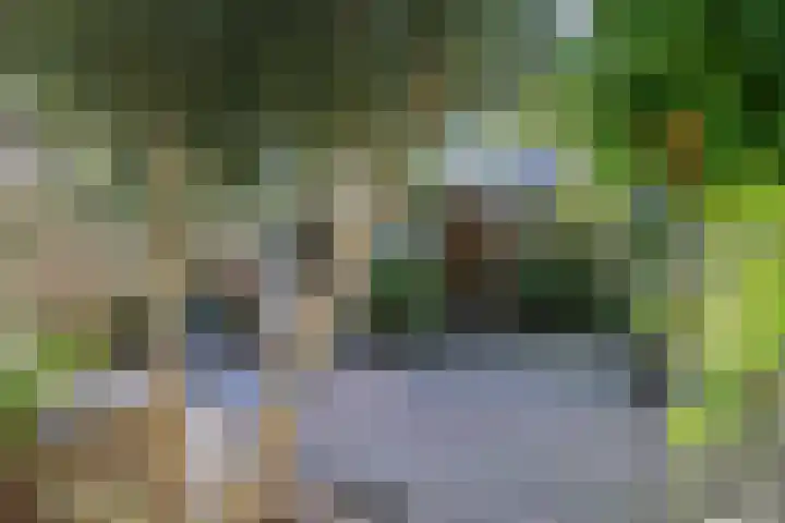 Noorderbolwerk 8 Franeker thumbnail 48