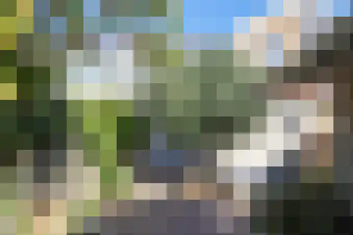 Noorderbolwerk 8 Franeker thumbnail 51