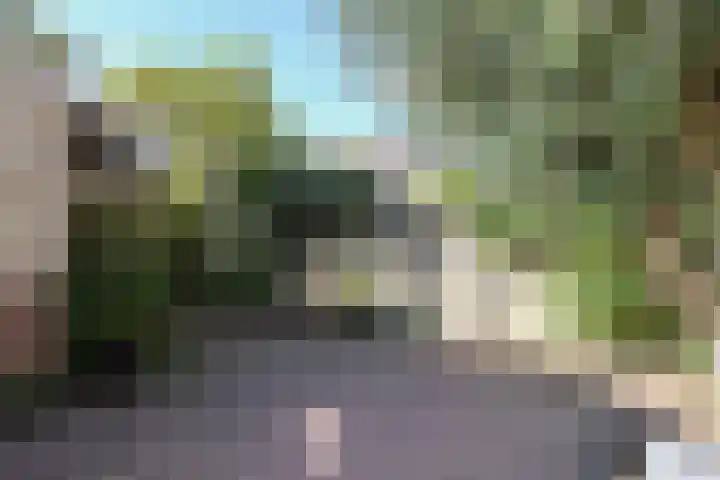 Noorderbolwerk 8 Franeker thumbnail 53