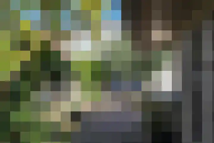 Noorderbolwerk 8 Franeker thumbnail 54
