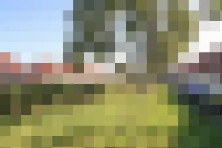 Noorderbolwerk 8 Franeker thumbnail 58