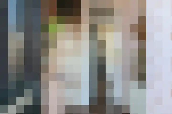 Noorderbolwerk 8 Franeker thumbnail 8