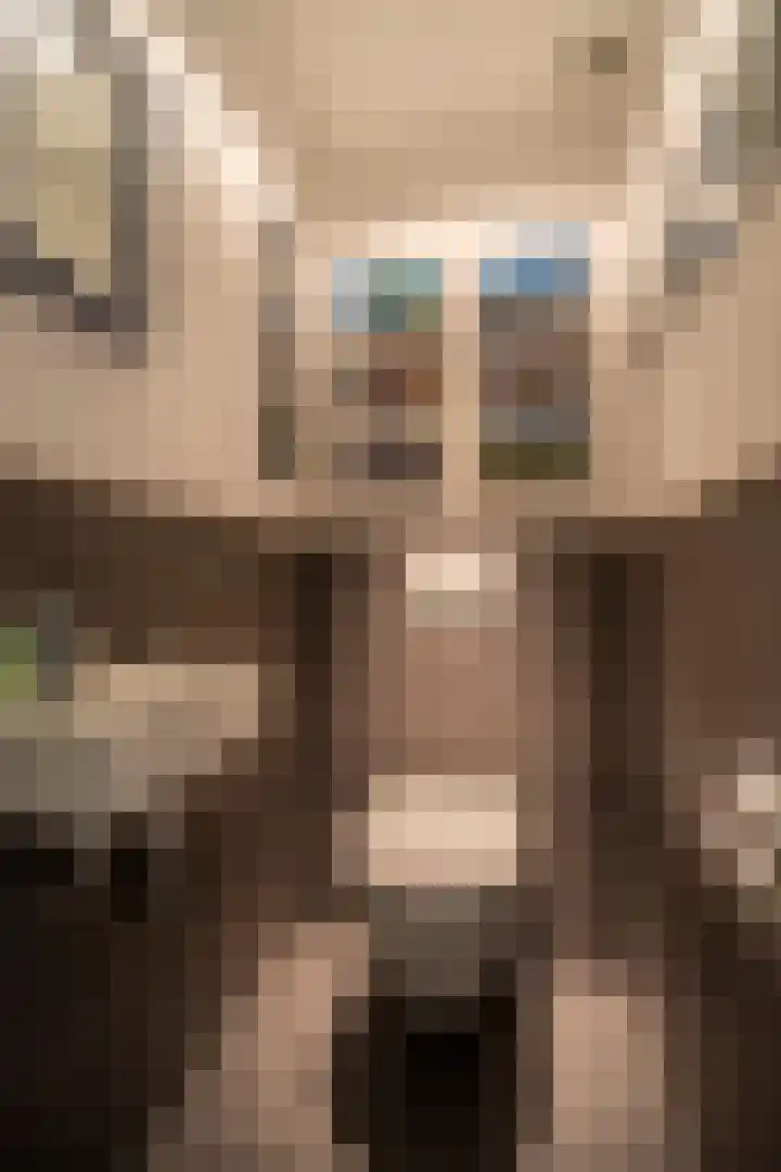 Noorderbreedte 3 De Meern thumbnail 10
