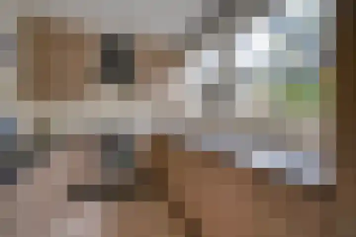 Noorderbreedte 3 De Meern thumbnail 19