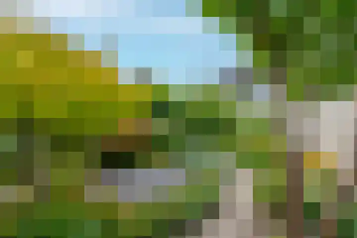 Noorderbreedte 3 De Meern thumbnail 25