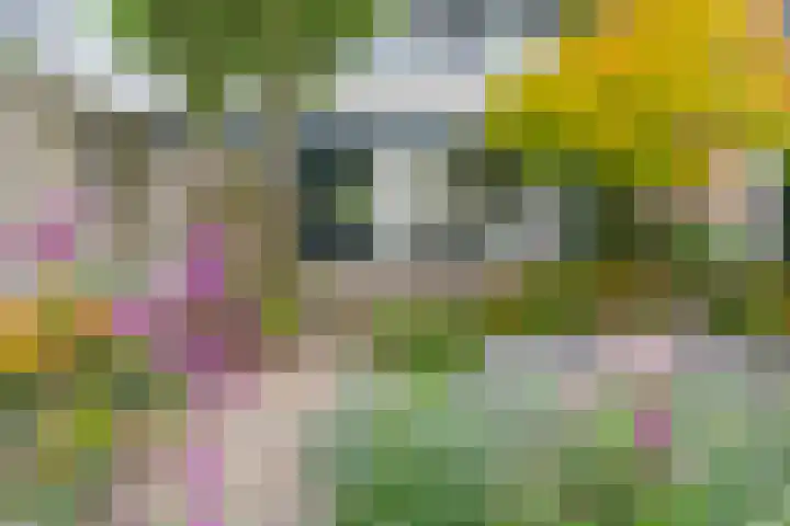 Noorderbreedte 3 De Meern thumbnail 27