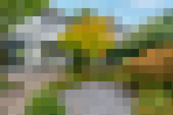 Noorderbreedte 3 De Meern thumbnail 28