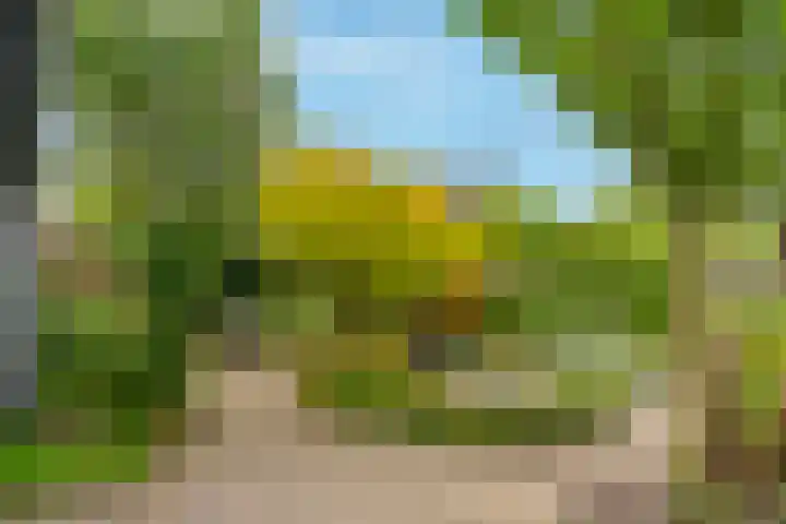 Noorderbreedte 3 De Meern thumbnail 30