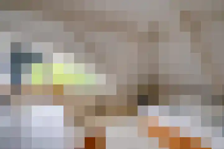 Noorderbreedte 3 De Meern thumbnail 52