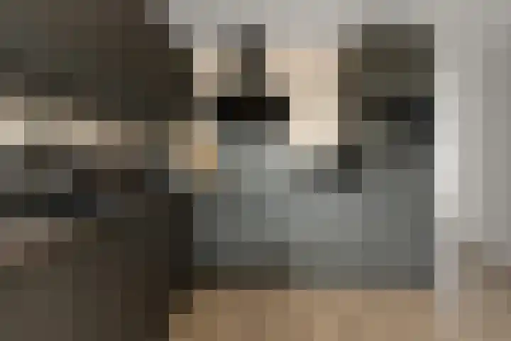 Noorderbreek 25 Landsmeer thumbnail 10