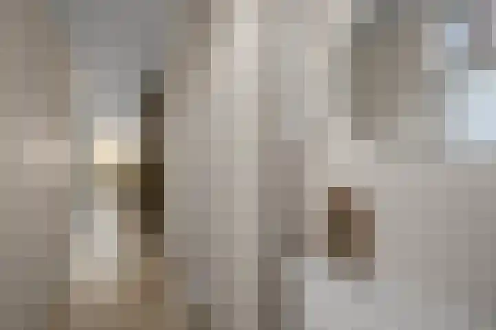 Noorderbreek 25 Landsmeer thumbnail 18