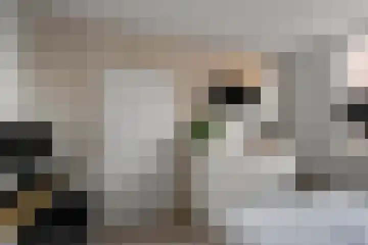Noorderbreek 25 Landsmeer thumbnail 24