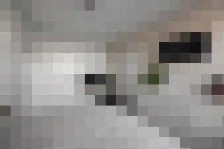 Noorderbreek 25 Landsmeer thumbnail 27