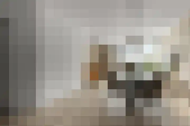 Noorderbreek 25 Landsmeer thumbnail 4