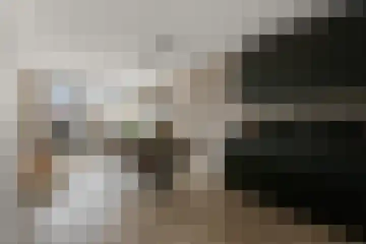 Noorderbreek 25 Landsmeer thumbnail 5
