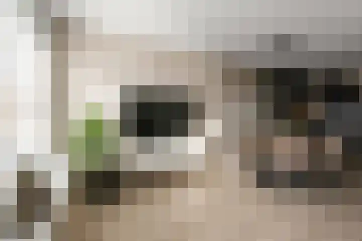 Noorderbreek 25 Landsmeer thumbnail 7