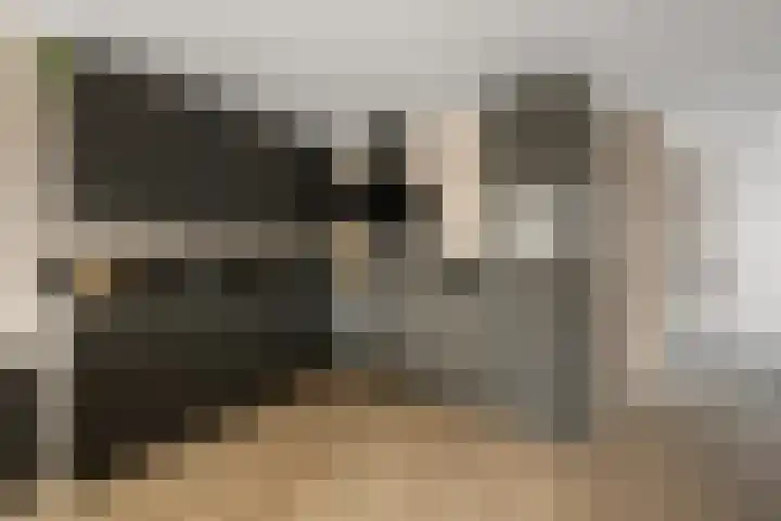 Noorderbreek 25 Landsmeer thumbnail 8