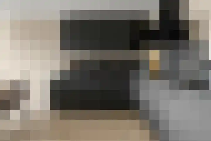 Noorderbreek 25 Landsmeer thumbnail 9