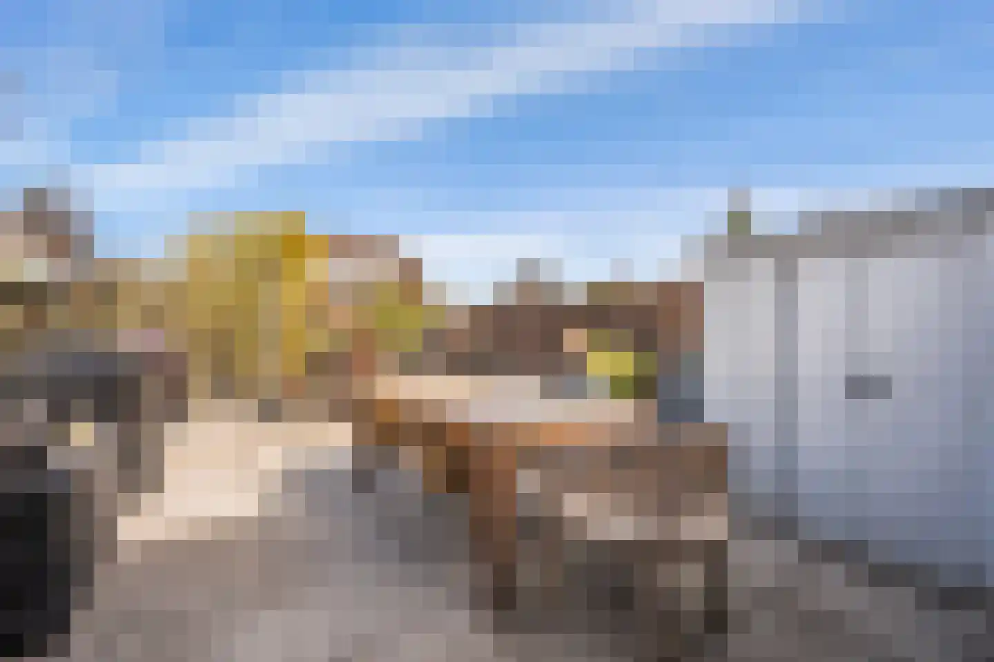Noorderbreek 26 Landsmeer thumbnail 16