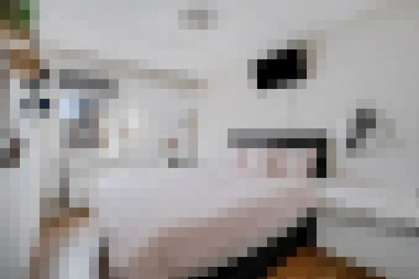 Noorderbreek 26 Landsmeer thumbnail 31