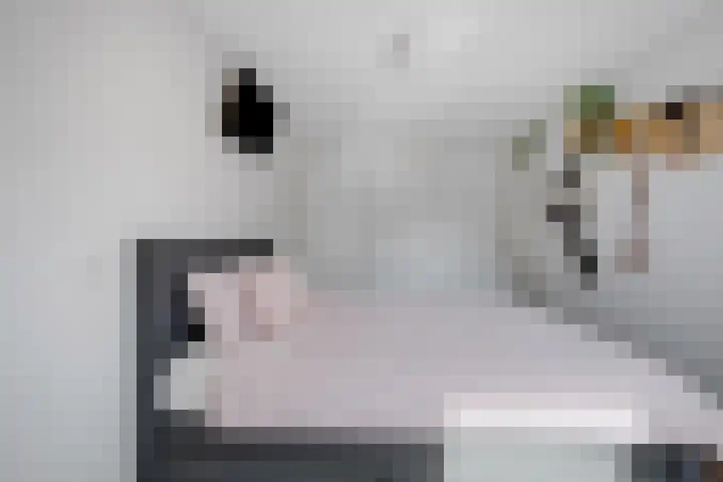 Noorderbreek 26 Landsmeer thumbnail 33