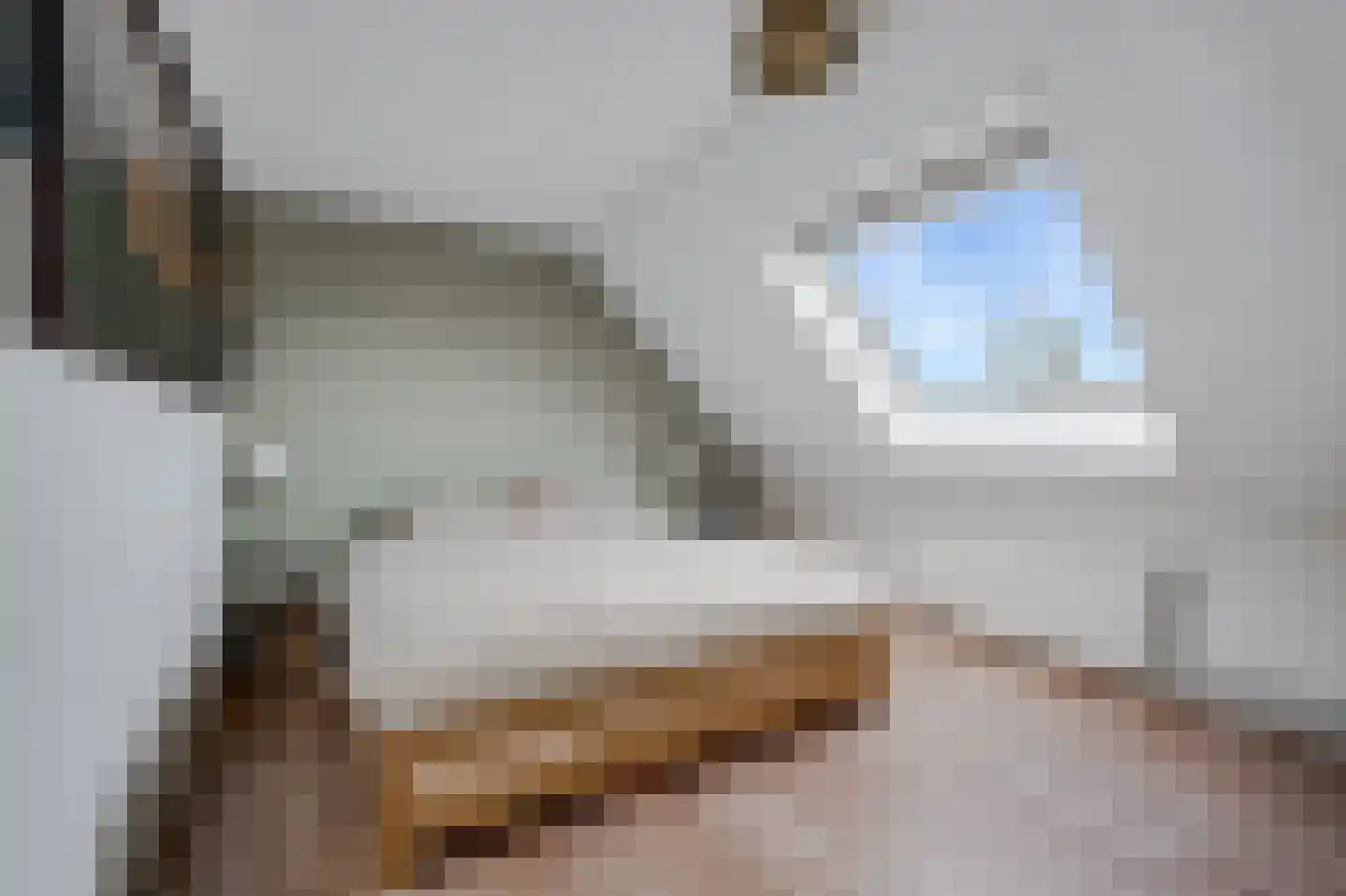 Noorderbreek 26 Landsmeer thumbnail 36