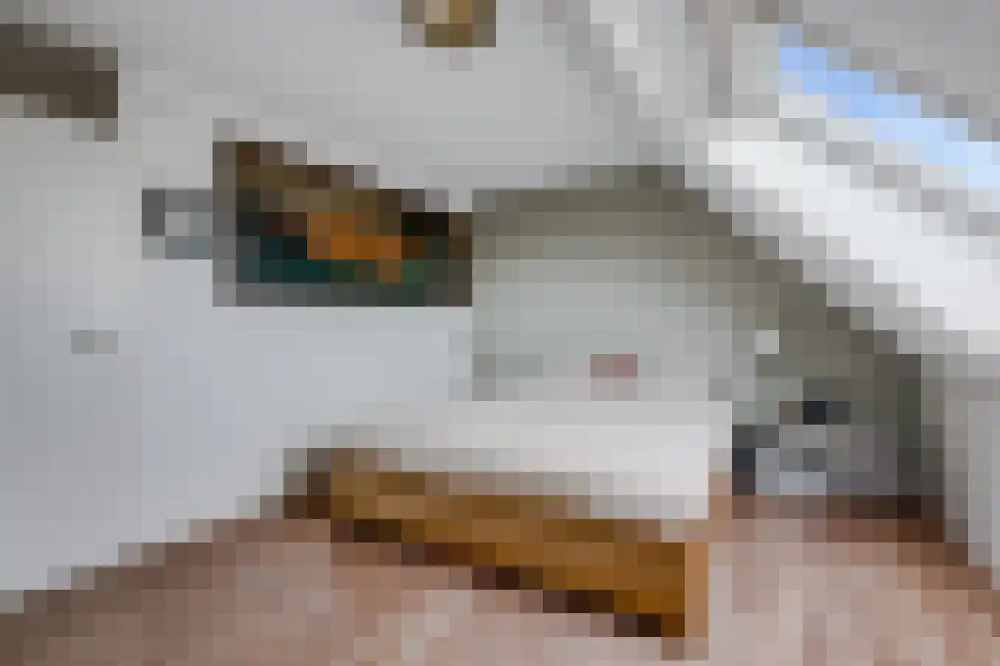 Noorderbreek 26 Landsmeer thumbnail 37