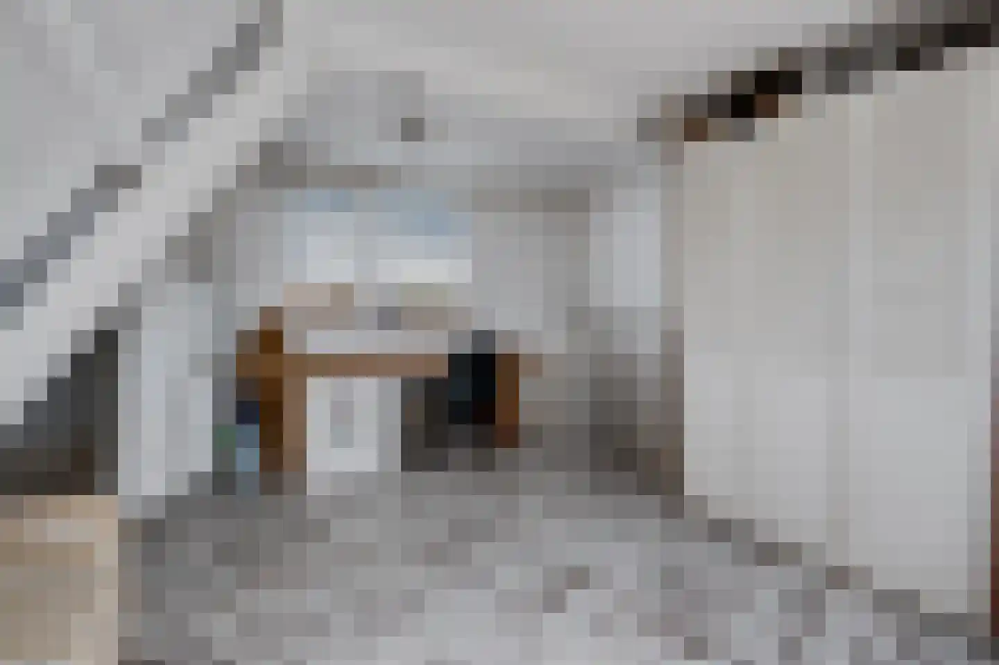 Noorderbreek 26 Landsmeer thumbnail 39
