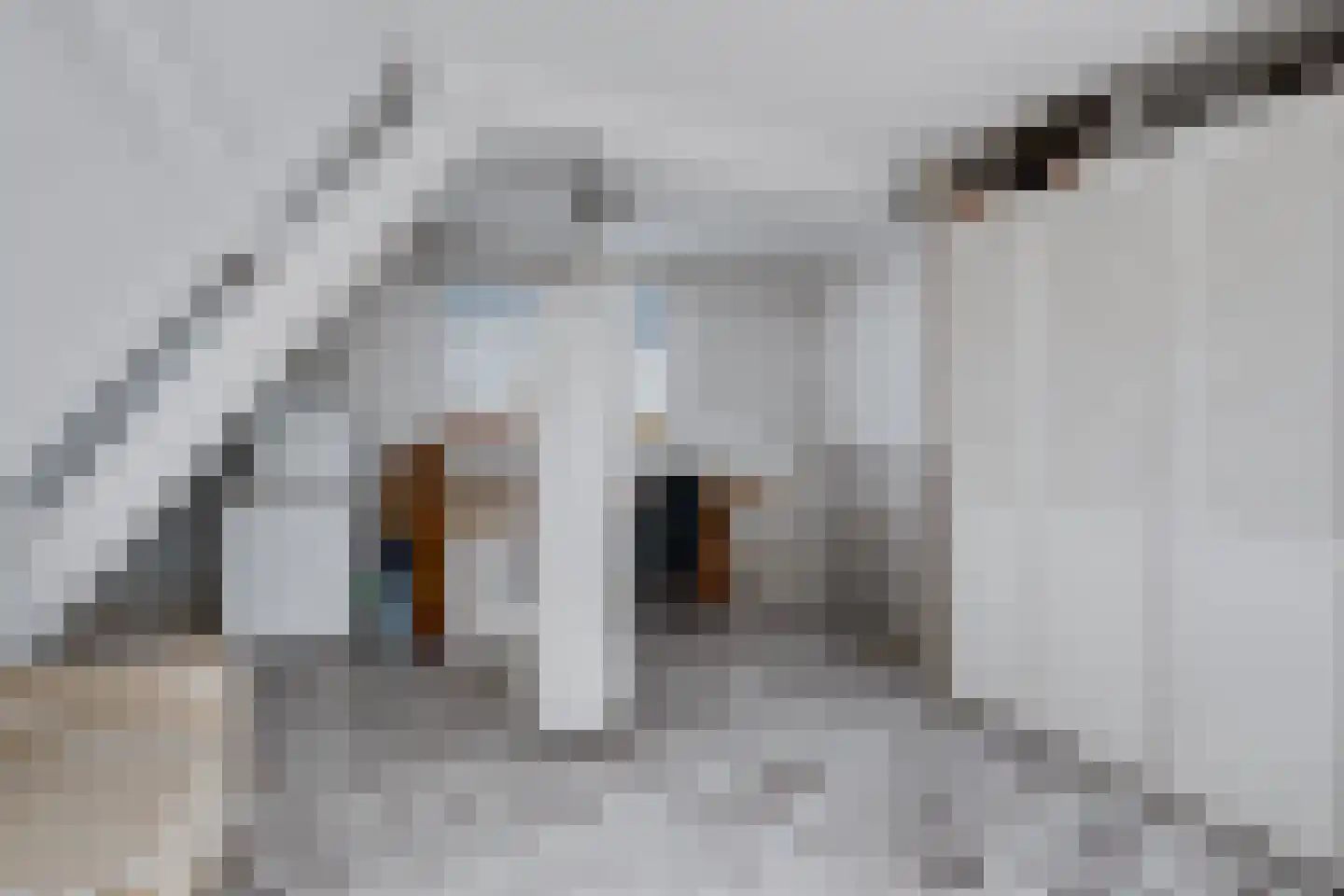 Noorderbreek 26 Landsmeer thumbnail 42