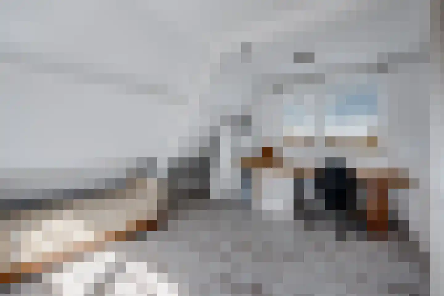 Noorderbreek 26 Landsmeer thumbnail 45