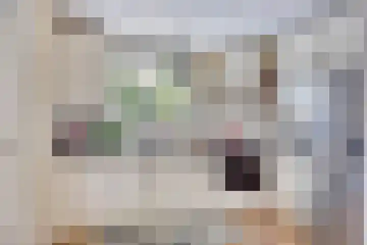 Noorderbreek 32 Landsmeer thumbnail 11
