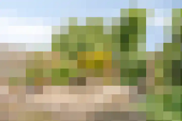 Noorderbreek 32 Landsmeer thumbnail 15