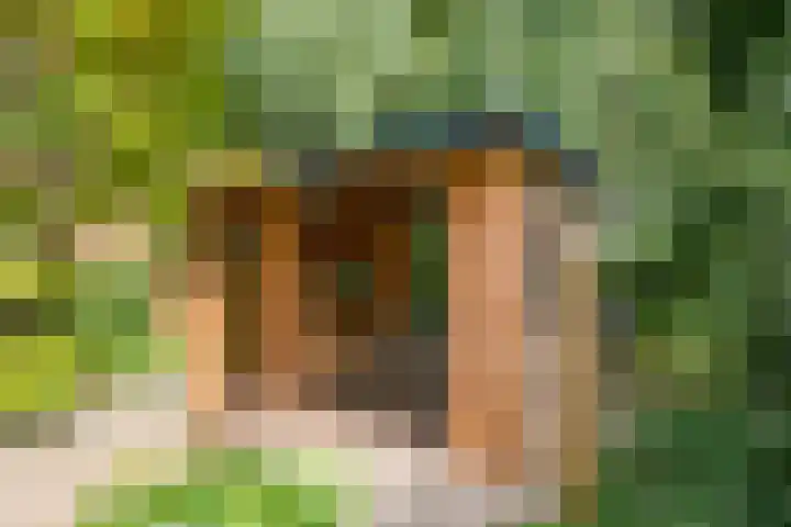 Noorderbreek 32 Landsmeer thumbnail 16