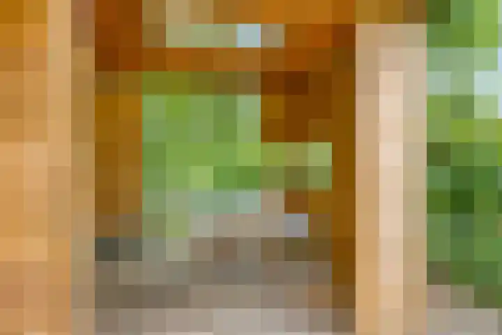 Noorderbreek 32 Landsmeer thumbnail 17