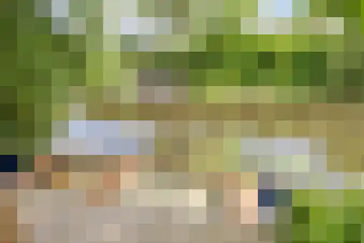 Noorderbreek 32 Landsmeer thumbnail 18