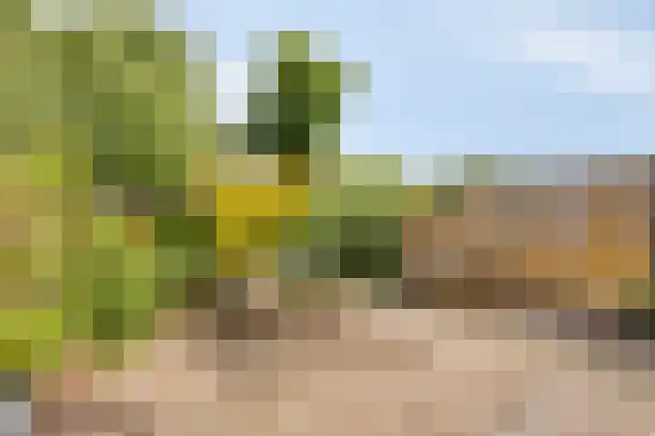 Noorderbreek 32 Landsmeer thumbnail 19