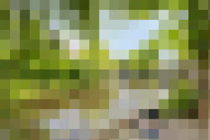 Noorderbreek 32 Landsmeer thumbnail 20