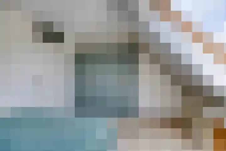 Noorderbreek 32 Landsmeer thumbnail 31