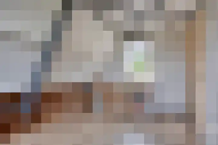 Noorderbreek 32 Landsmeer thumbnail 33