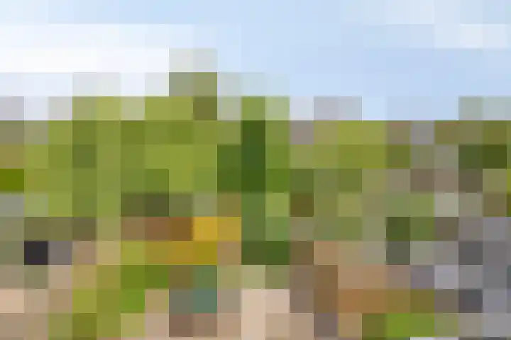 Noorderbreek 32 Landsmeer thumbnail 35